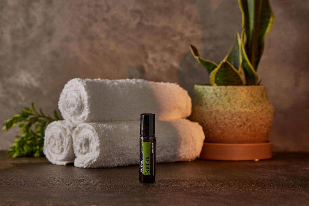 application rapide en déplacement avec Melaleuca Touch