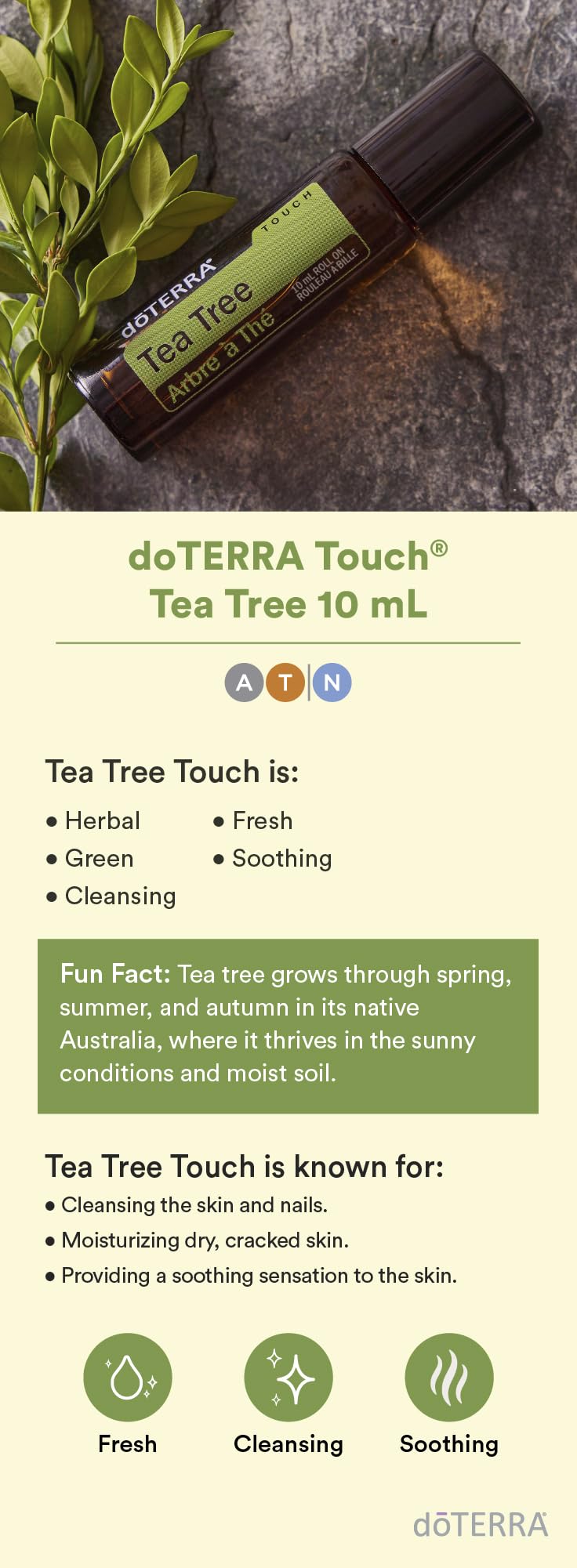 emballage pratique doTERRA Melaleuca Touch