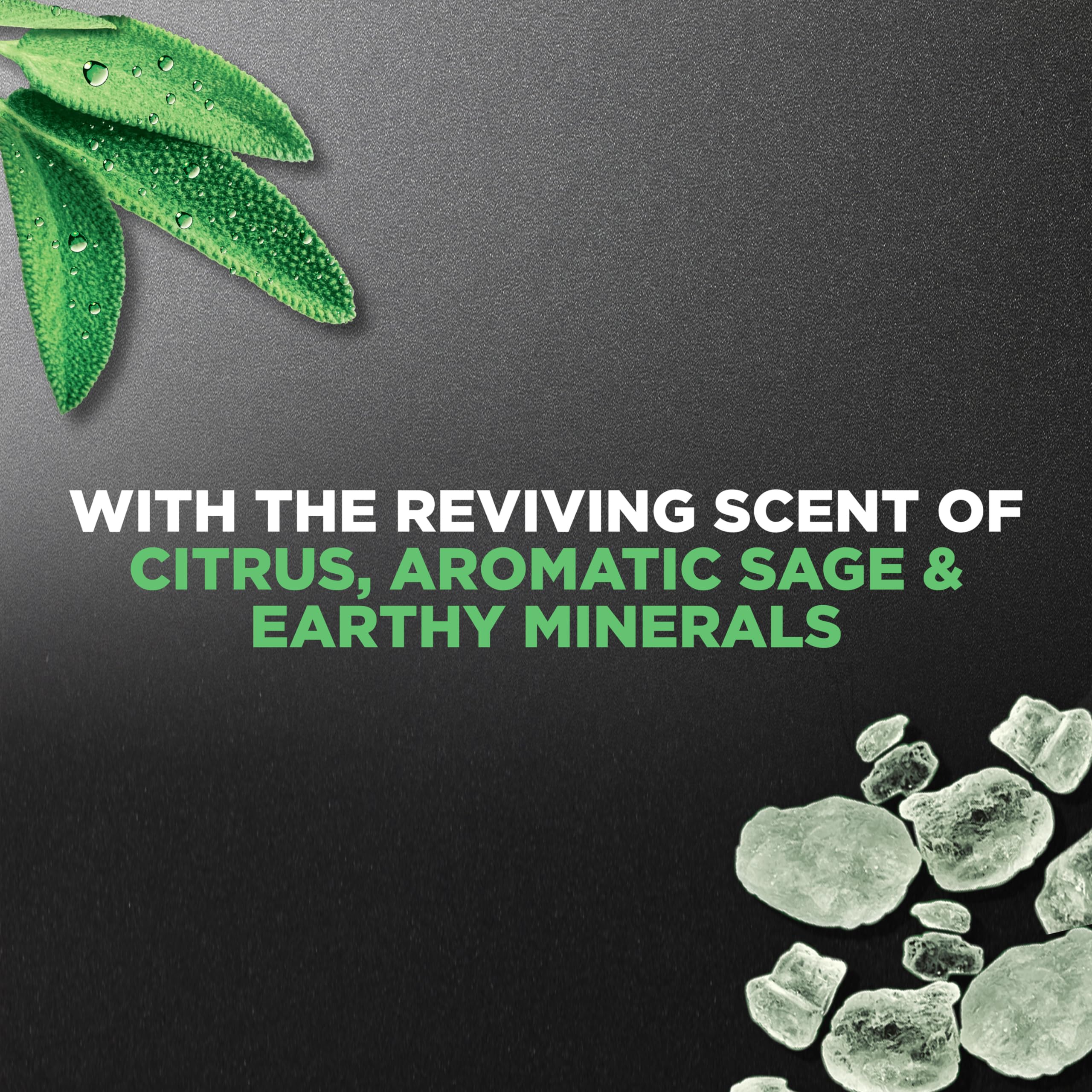 Dove Men+Care Mineral Sage: parfum stimulant menthe-eucalyptus pour démarrer la journée