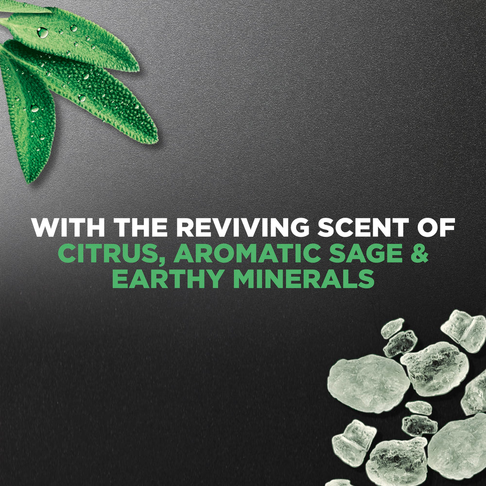 Dove Men+Care Mineral Sage: parfum stimulant menthe-eucalyptus pour démarrer la journée