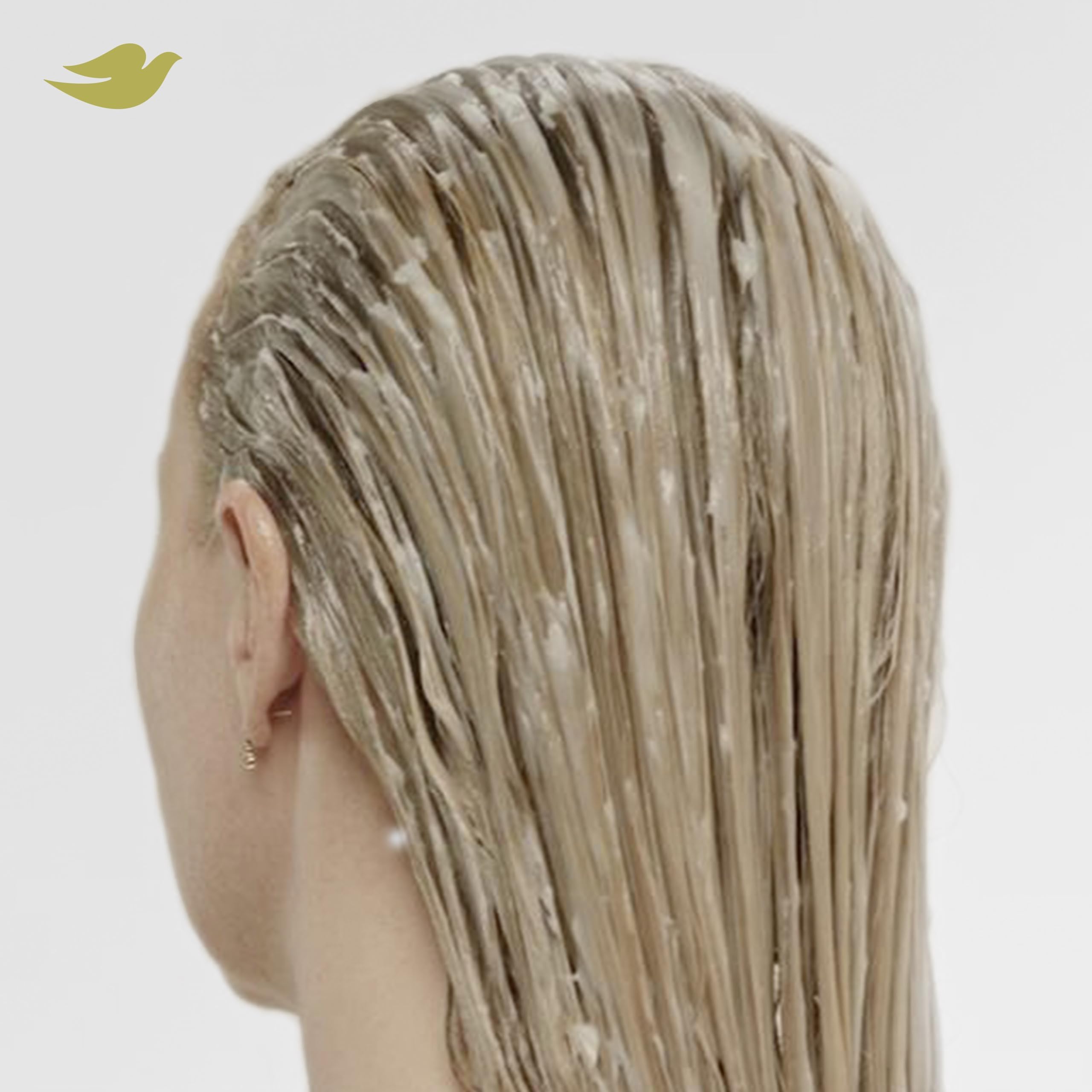 Soin quotidien Dove flacon: routine simple et efficace pour cheveux