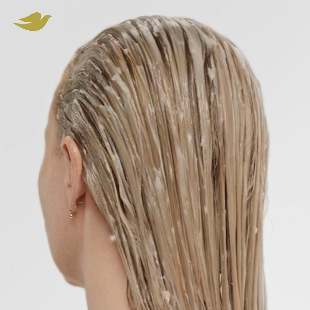 Soin quotidien Dove flacon: routine simple et efficace pour cheveux