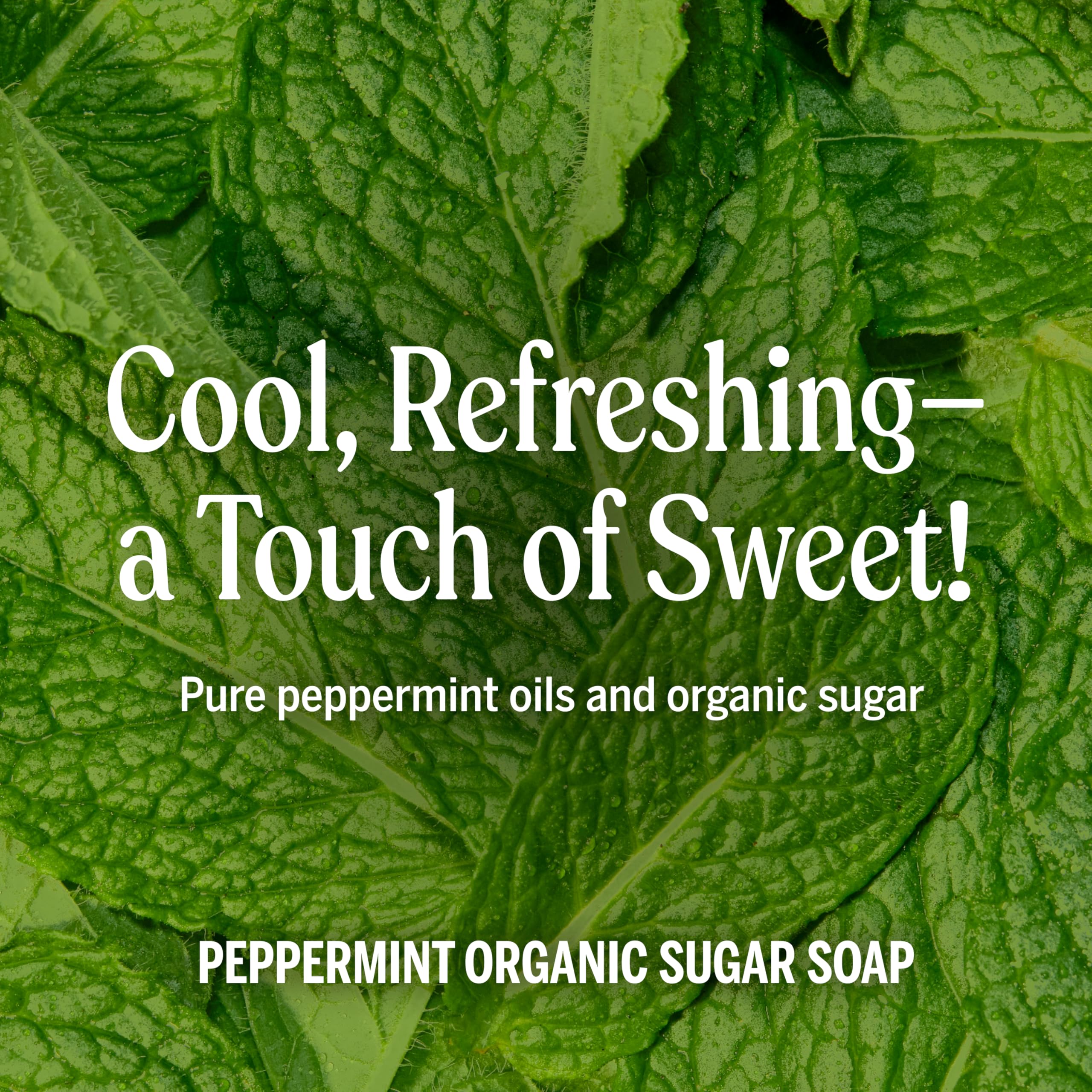 Huile de coco et huile d'olive dans le savon menthe Dr. Bronner’s.