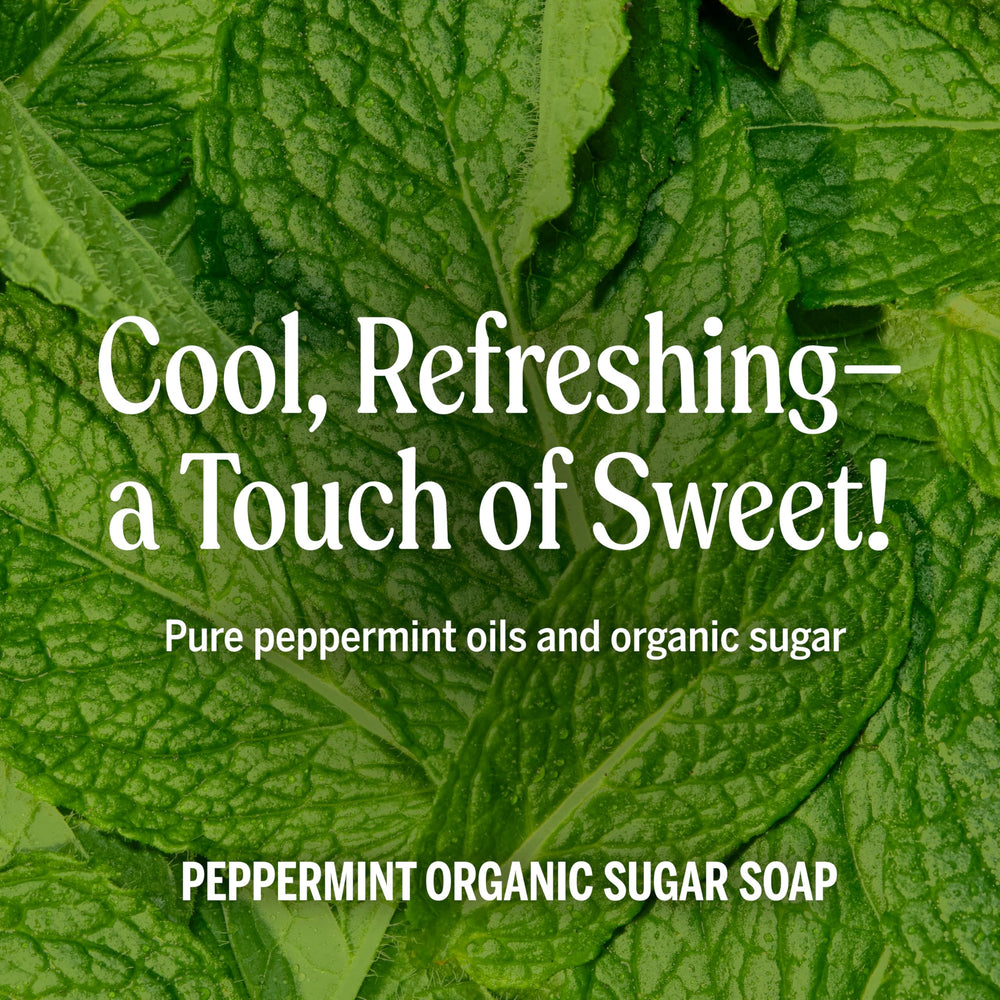 Huile de coco et huile d'olive dans le savon menthe Dr. Bronner’s.
