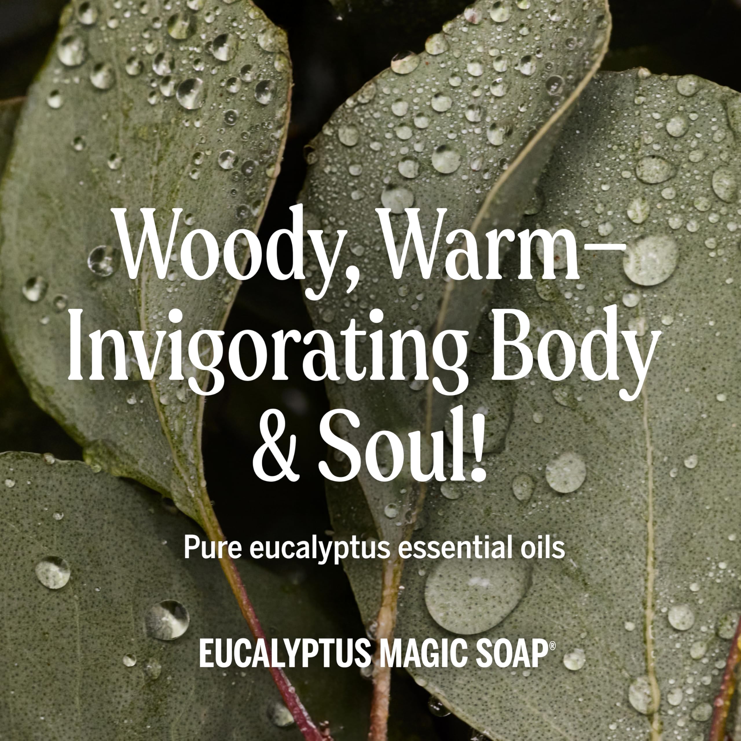 Dr. Bronner’s Refills eucalyptus – nettoyage animaux en douceur.