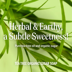 Dr. Bronner's Savon sucre bio – poudre de shikakai: soin capillaire naturel.