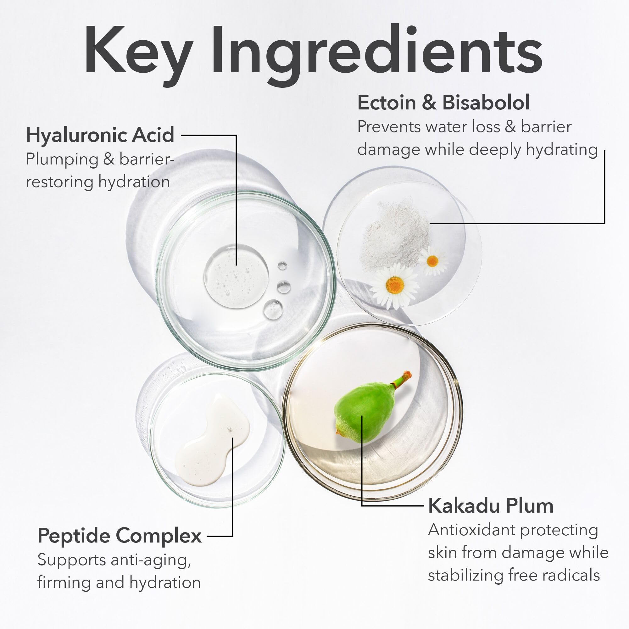 Cuivre peptides Dr Dennis Gross DermInfusions, soutien de la fermeté et de la barrière hydratante.