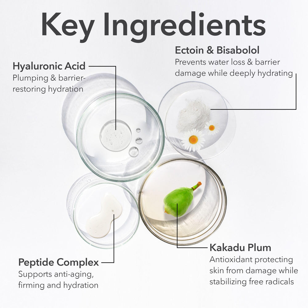 Cuivre peptides Dr Dennis Gross DermInfusions, soutien de la fermeté et de la barrière hydratante.