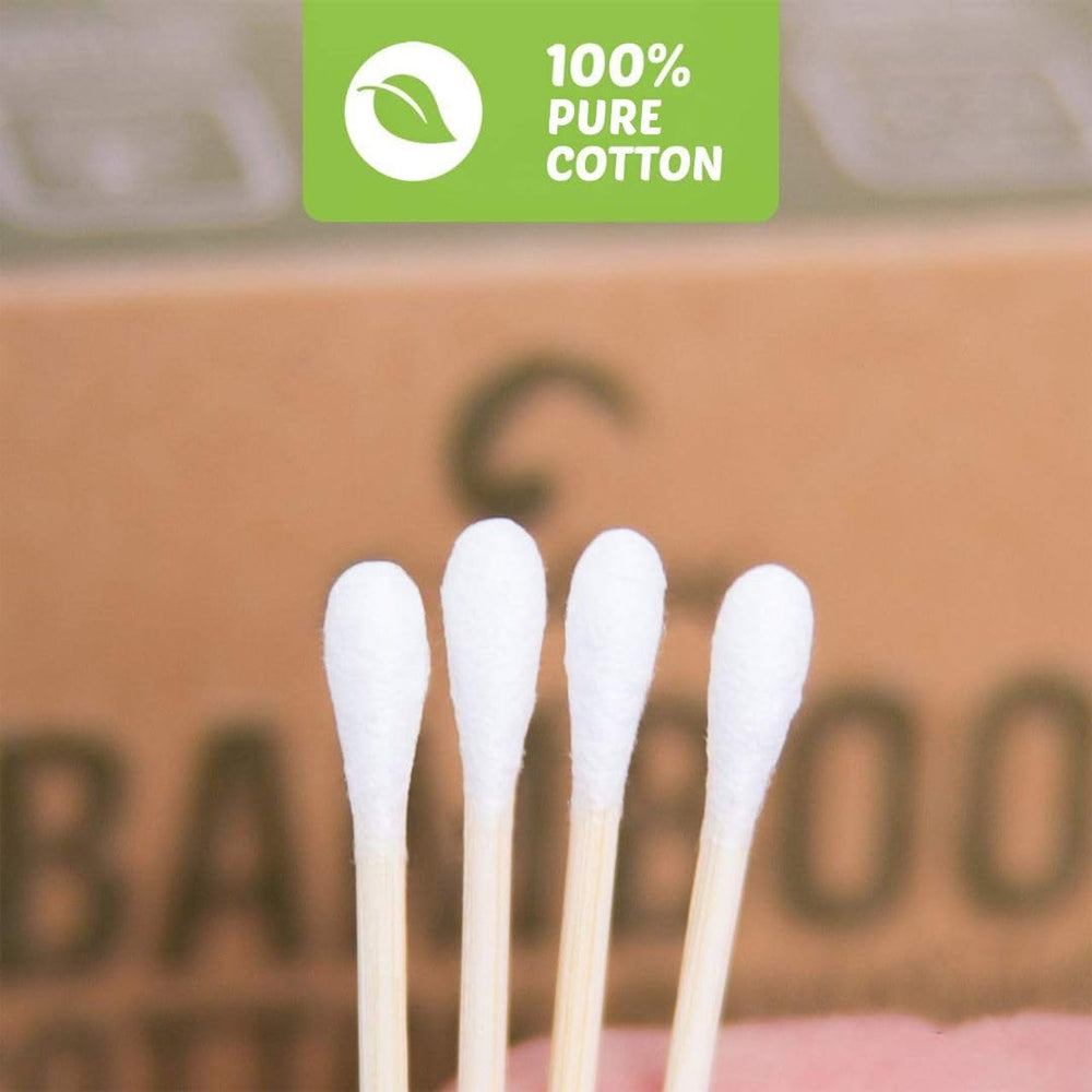 EcoFox bambou renouvelable pour une alternative écologique