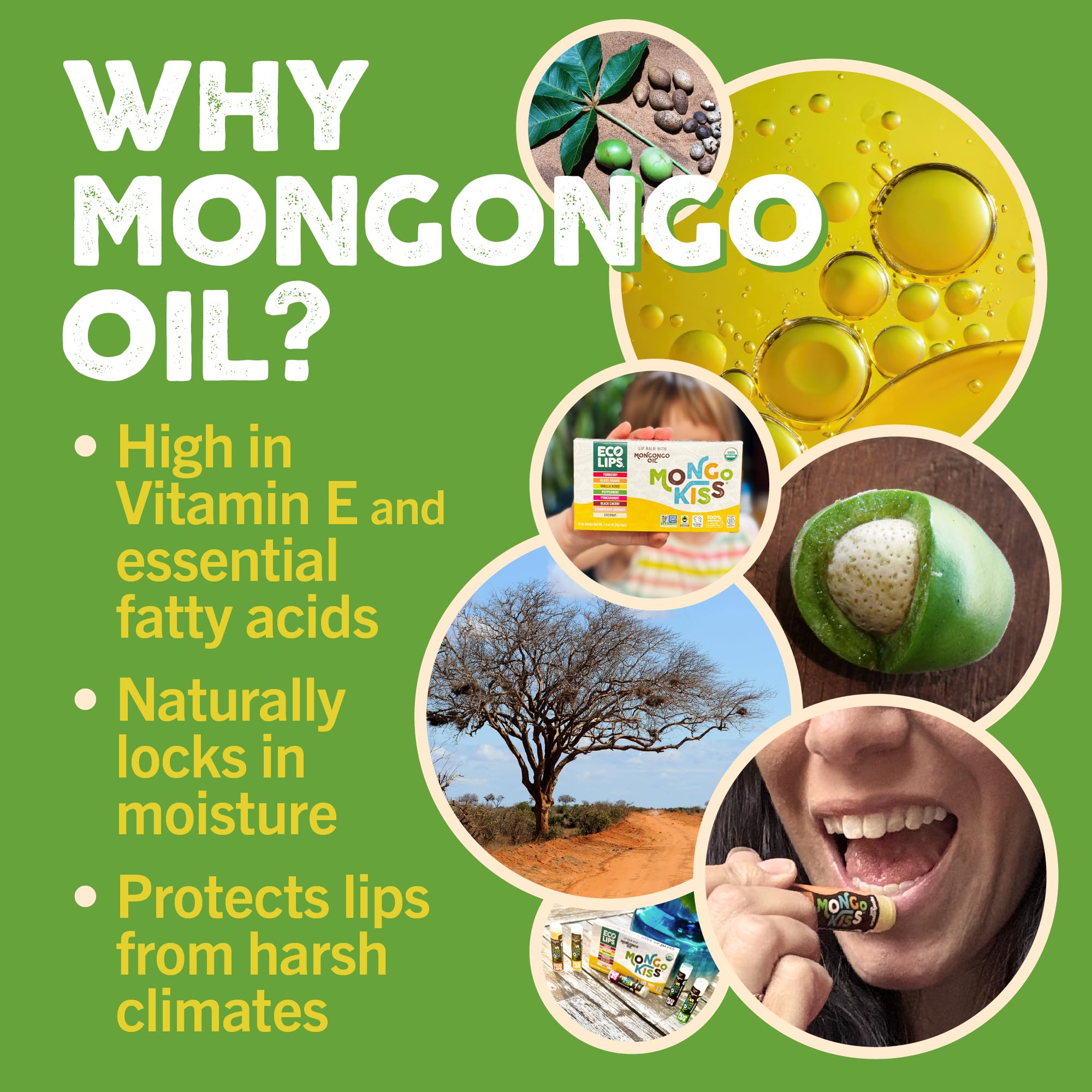 Ingrédients biologiques mongongo et cacao pour nourrir les lèvres.