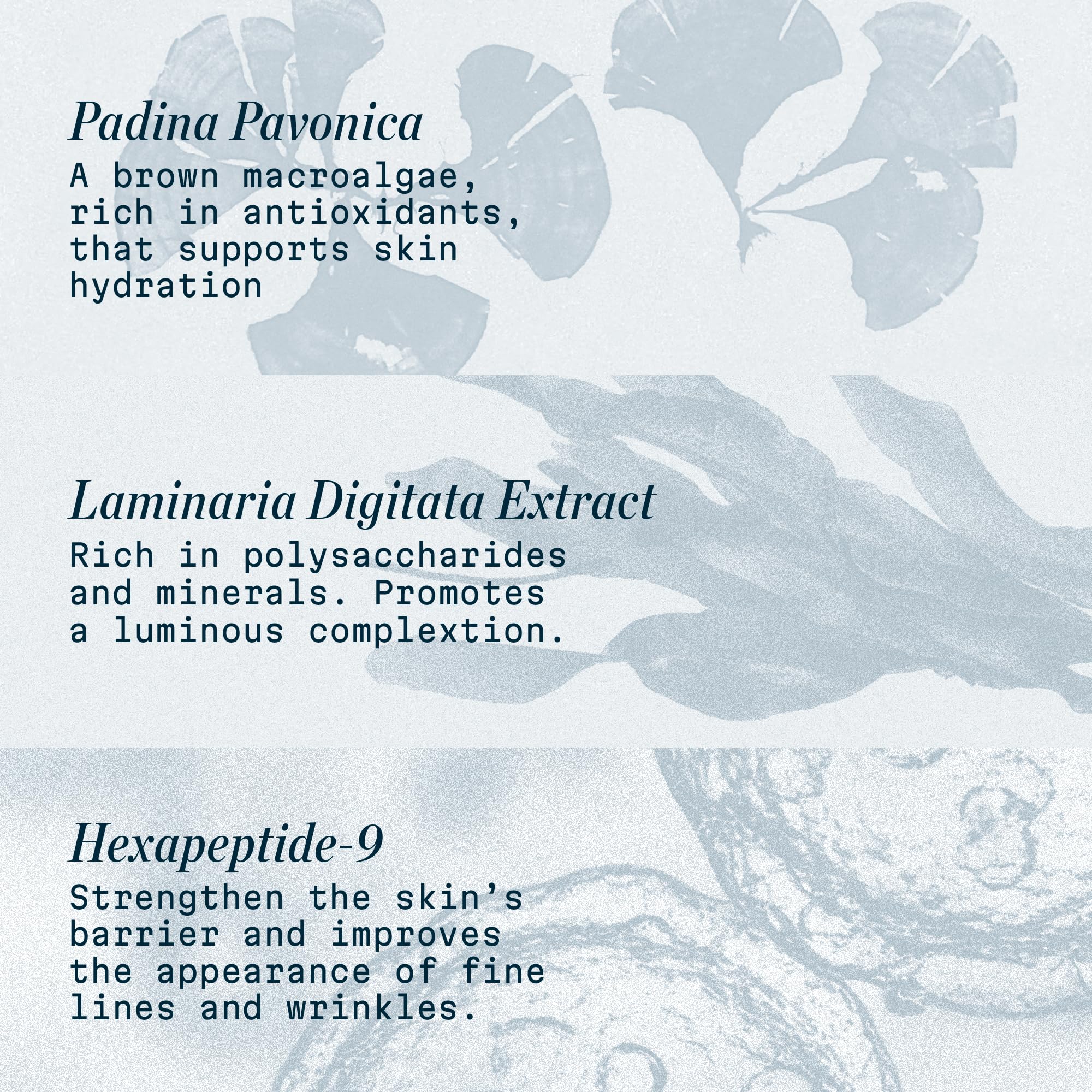 ELEMIS Pro-Collagen Night Cream — Laminaria digitata, formulation nourrissante nocturne.