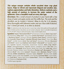 Application Stone Crop Masque, routine hydratante et apaisante en 10–15 minutes