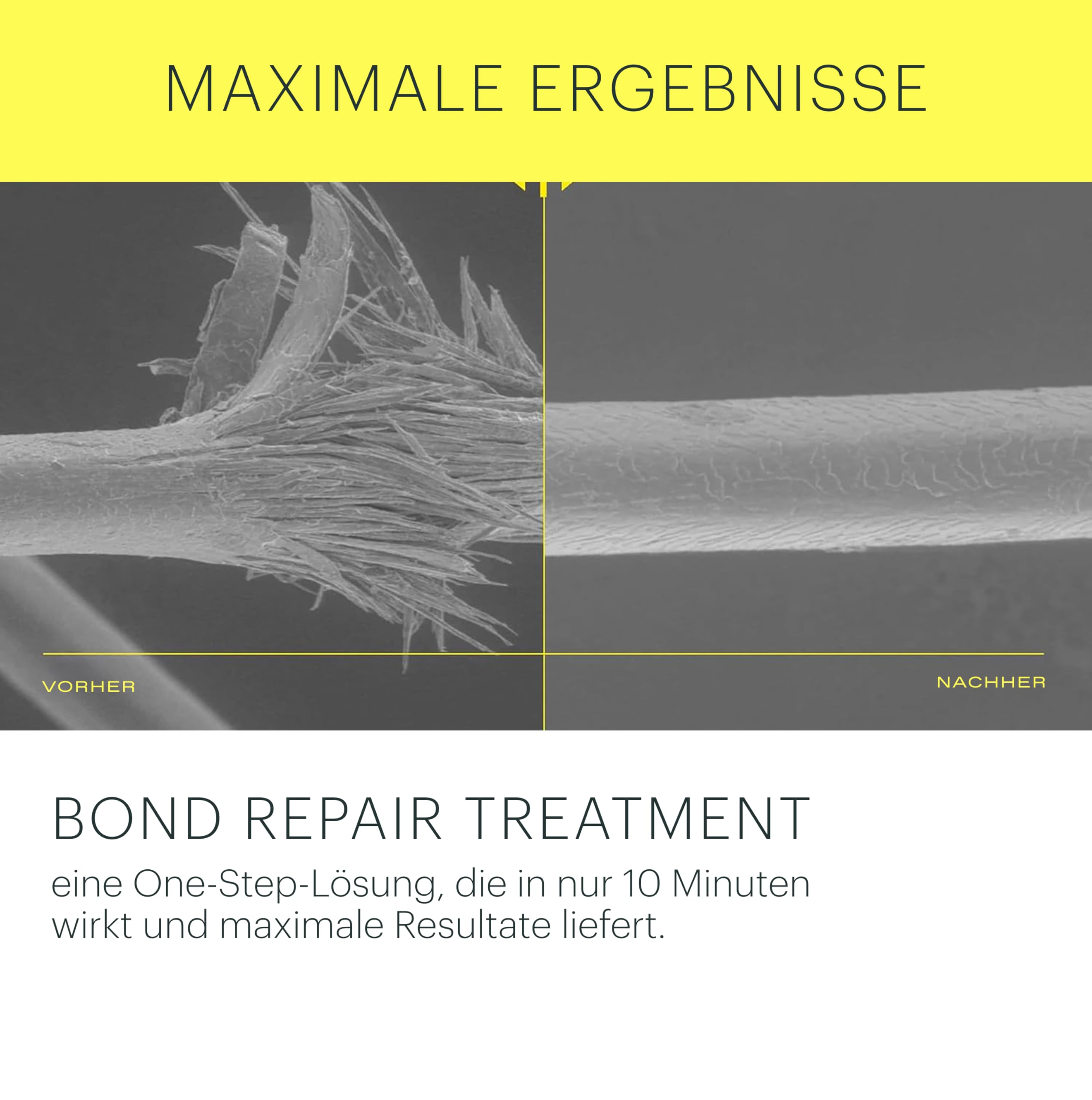 Contrôle du frisage avec le Bond Repair Starter Kit d Epres