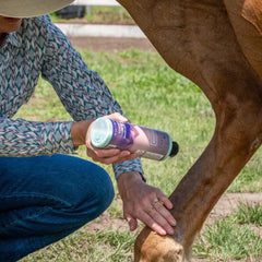 Parfum lavande léger du soin EQUIDERMA, bénéfique pour le pelage.
