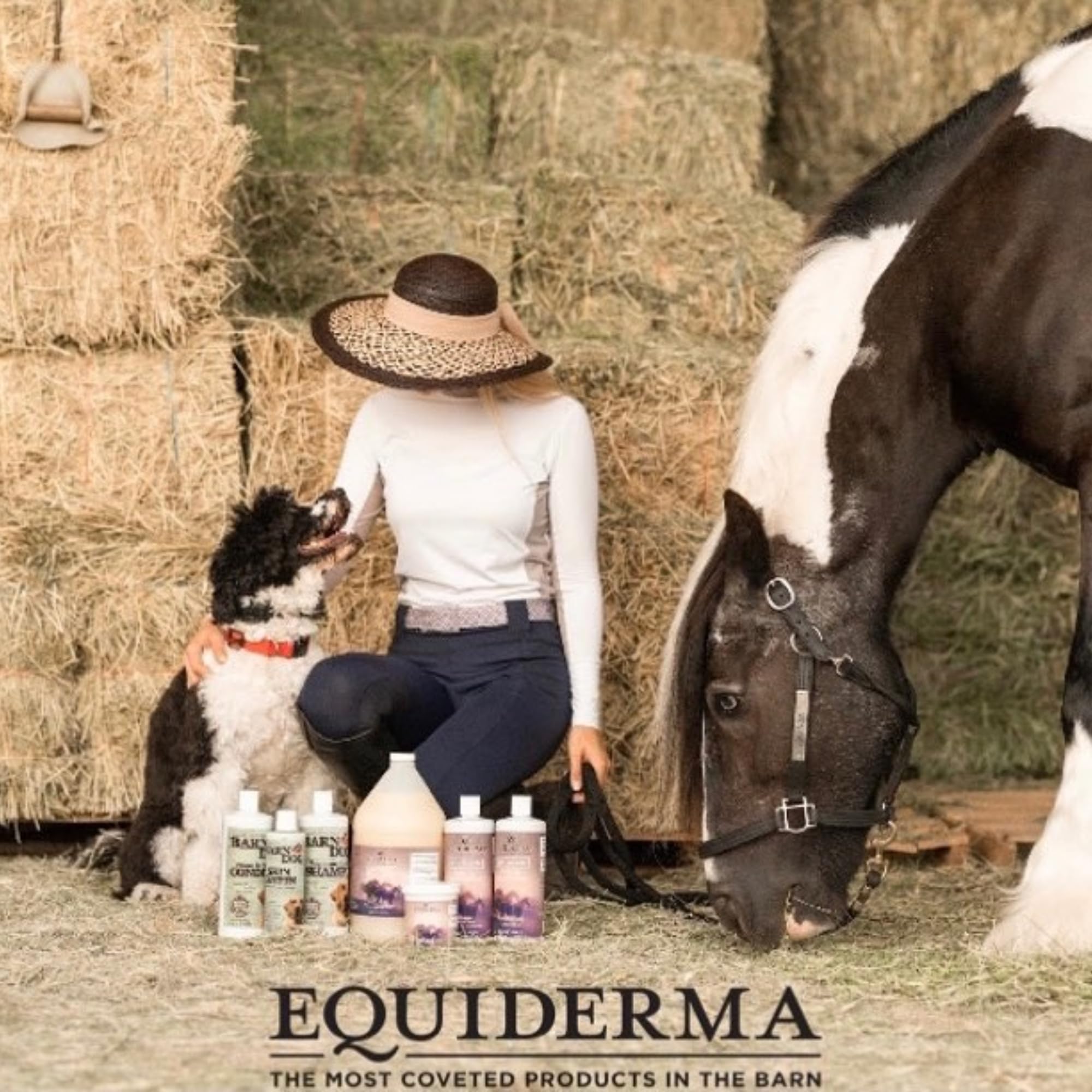 Zone visage et oreilles irritées, soin ciblé EQUIDERMA pour chevaux.