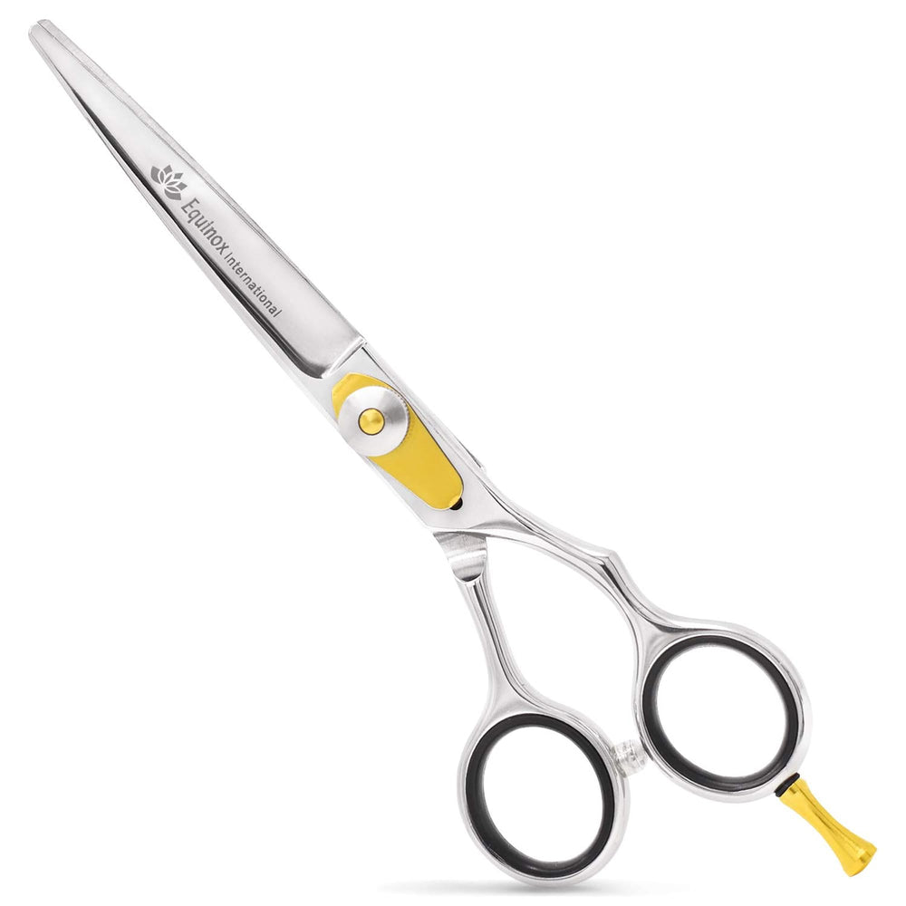Equinox Razor Edge Series ciseaux-coiffure 6,5 pouces pour des coupes nettes et précises