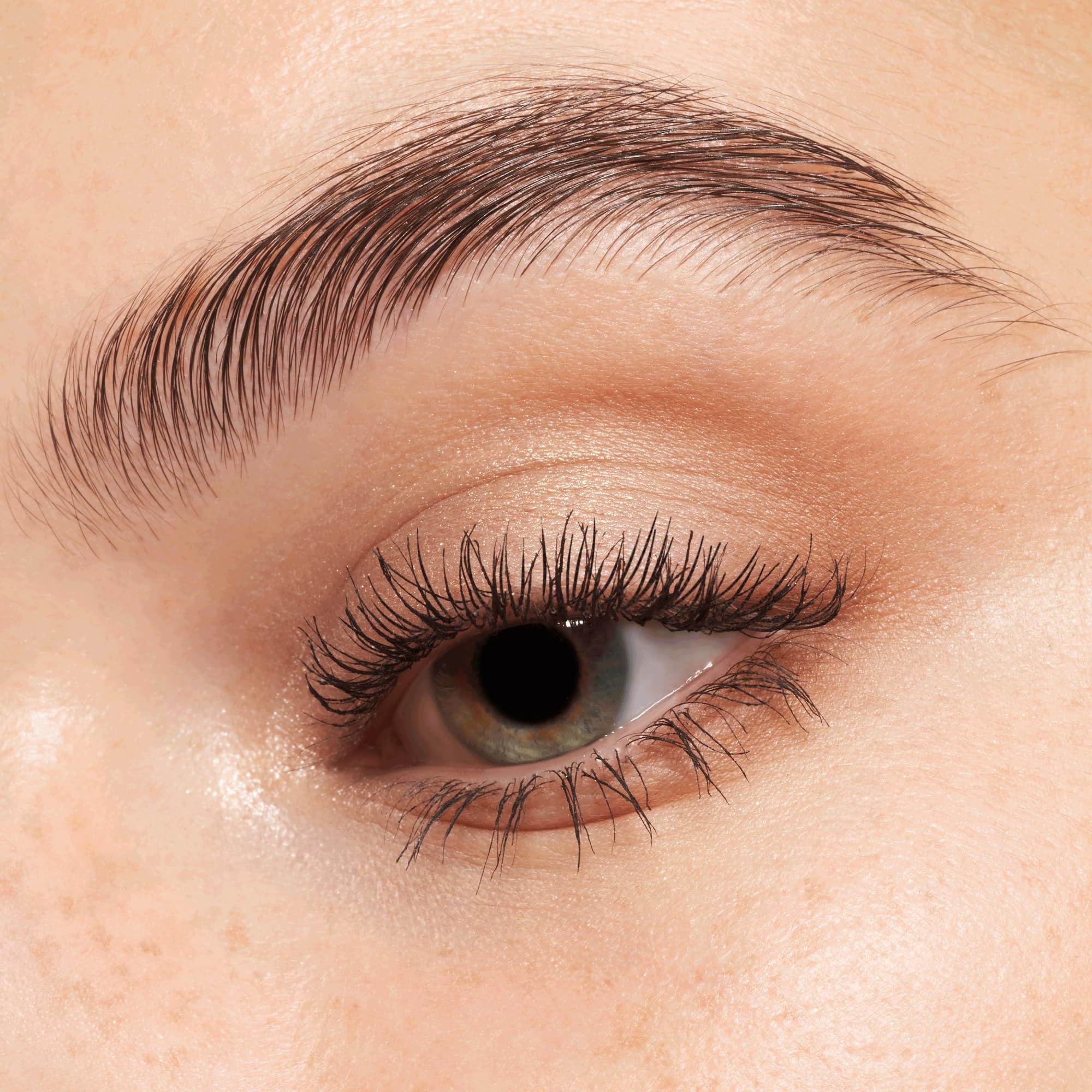 Palette Essence Édition Nude Ombre Gris Marron Matte – teinte neutre pour transitions faciles.
