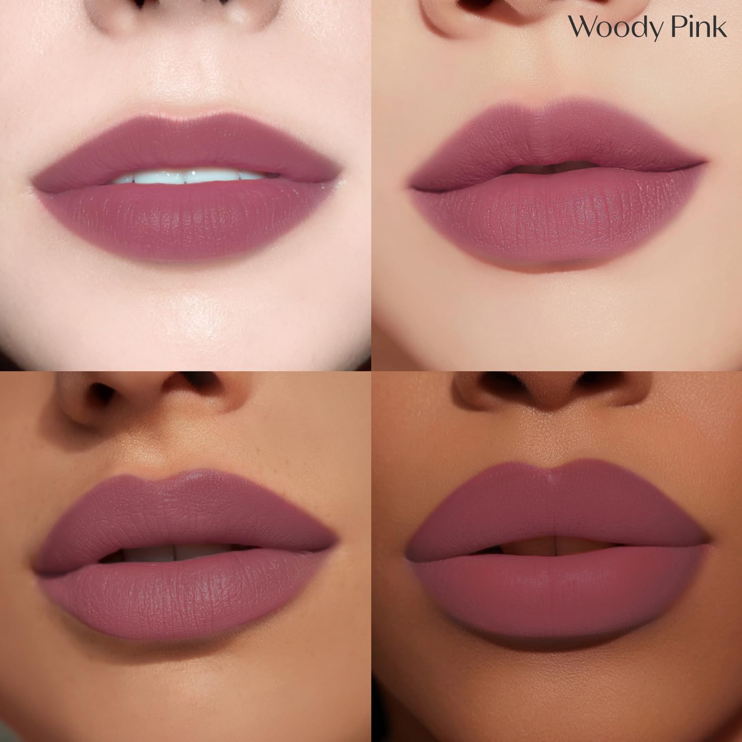ETUDE Fixing Tint Woody Pink – Échantillon lèvre révélant une teinte pigmentée durable.