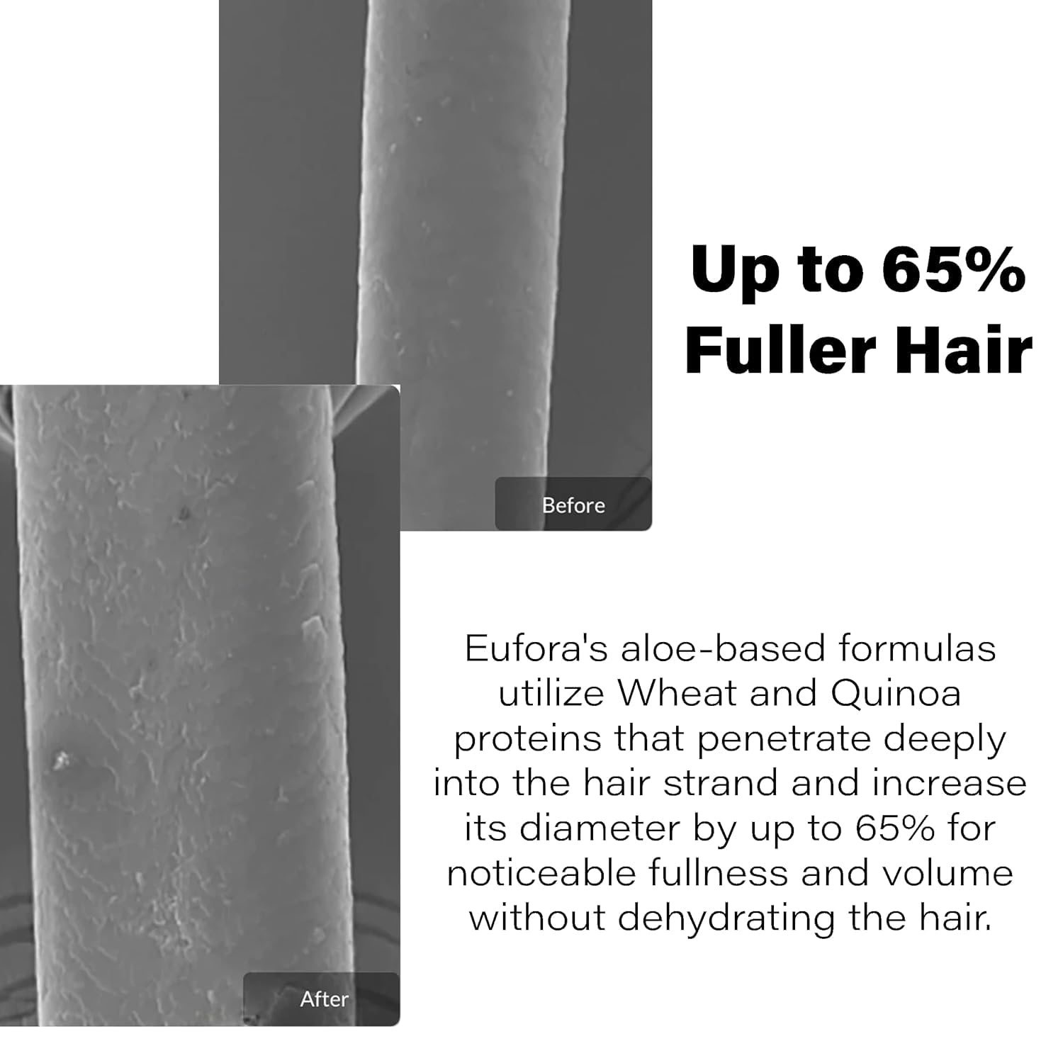 Eufora Volume Fusion : cheveux essorés prêts au coiffage et au volume