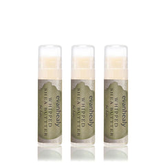 Evanhealy Baume Lèvres, beurre de karité fouetté, hydratation durable dans un tube pratique.