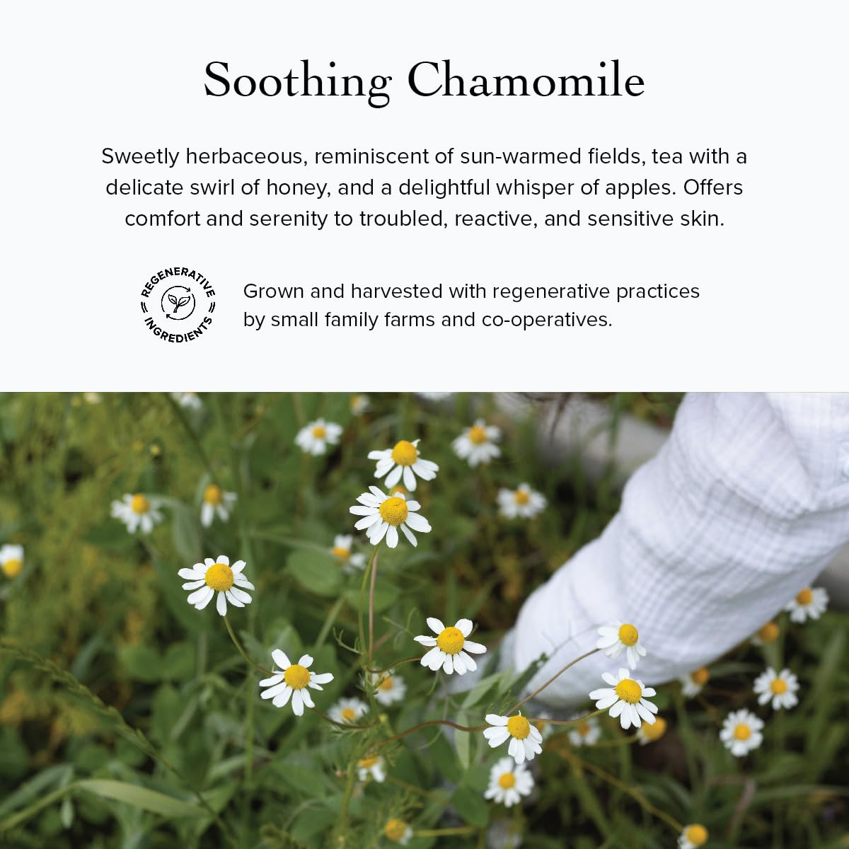 Crème visage Evanhealy avec sérum, utilisation flexible.