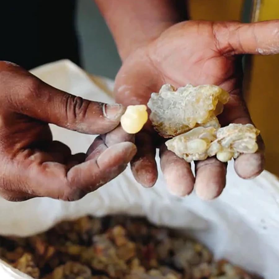 Évanhealy Frankincense Hydrolat — utilisation quotidienne après le nettoyage.
