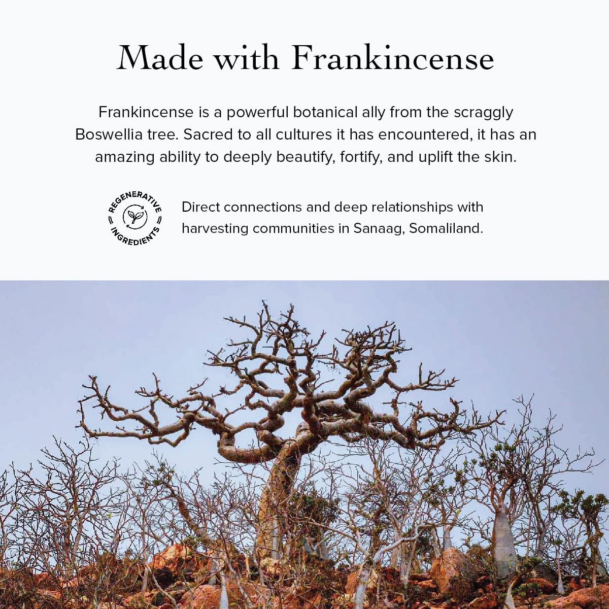 Évanhealy Frankincense Hydrolat — texture légère appliquée sur le visage.