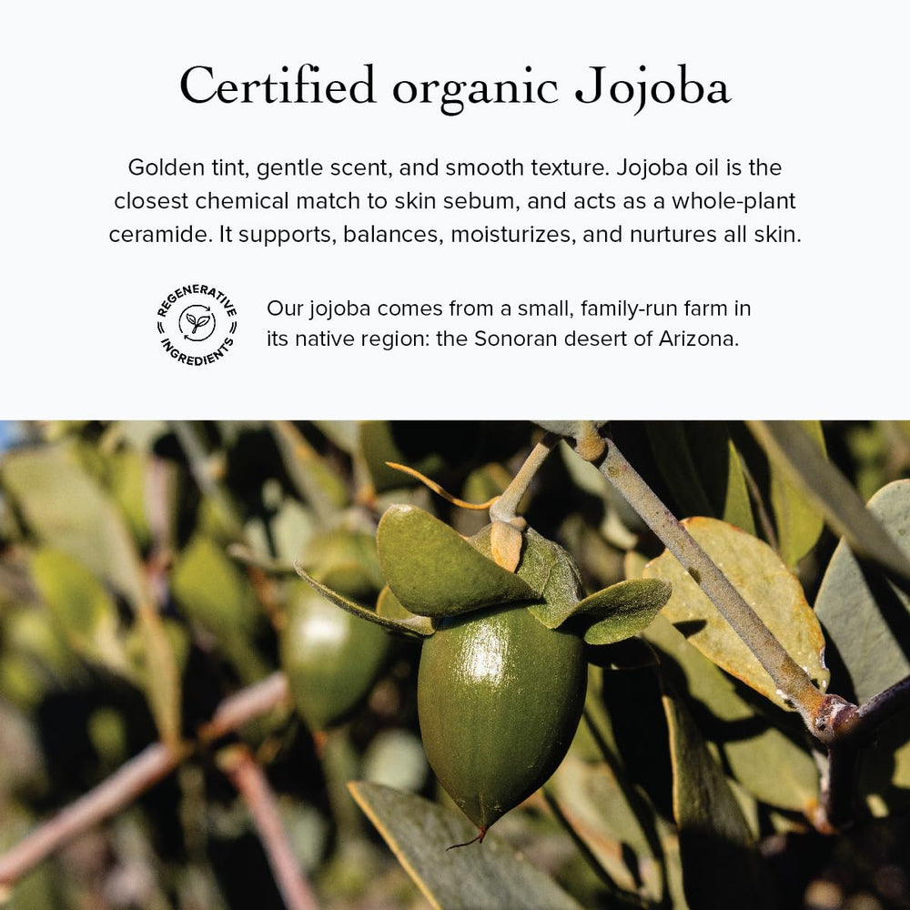 evanhealy huile-tournesol-jojoba, hydratation en profondeur sans gras.