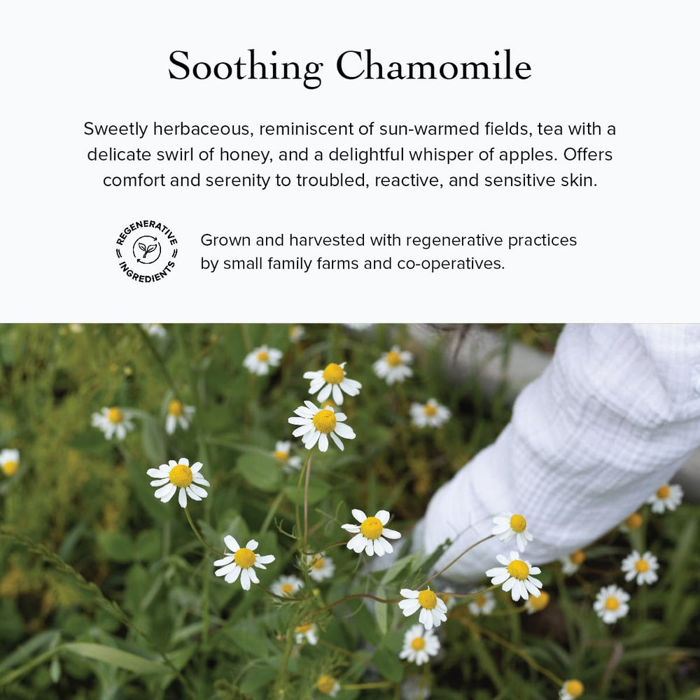 evanhealy huile-vegetale-regenerante: soin nourrissant soutenant l’eclat naturel.
