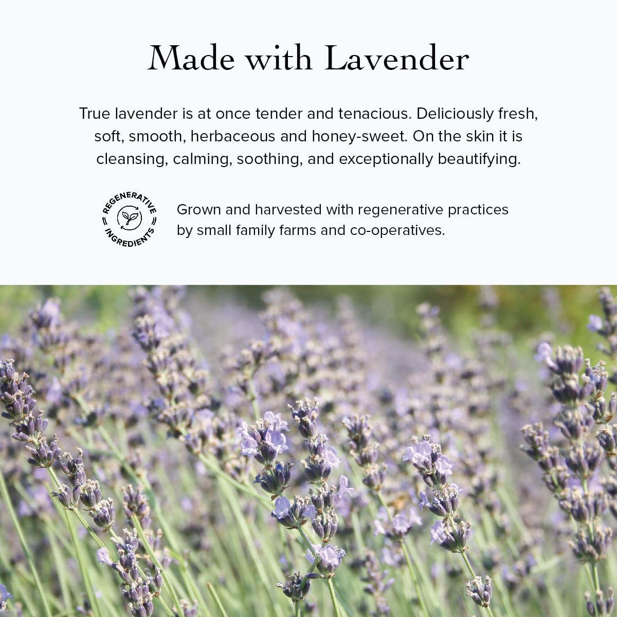 Evanhealy Lavande Hydrosol, application douce sur le visage.
