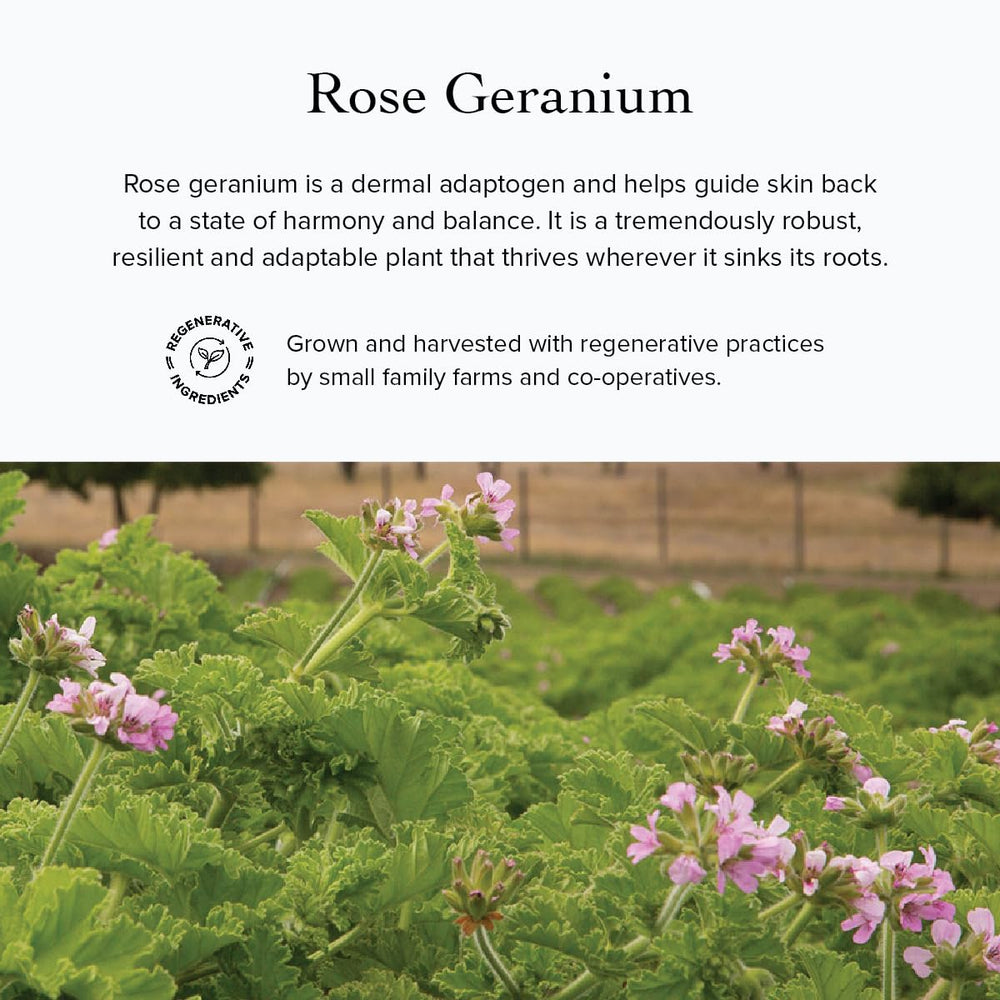Évanhealy Rose Lait Nettoyant : géranium rosat distillé pour une douceur pendant le rituel.