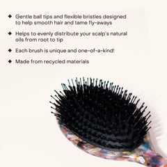 Brosse Everist démêle et coiffe pour un fini lisse et brillant.