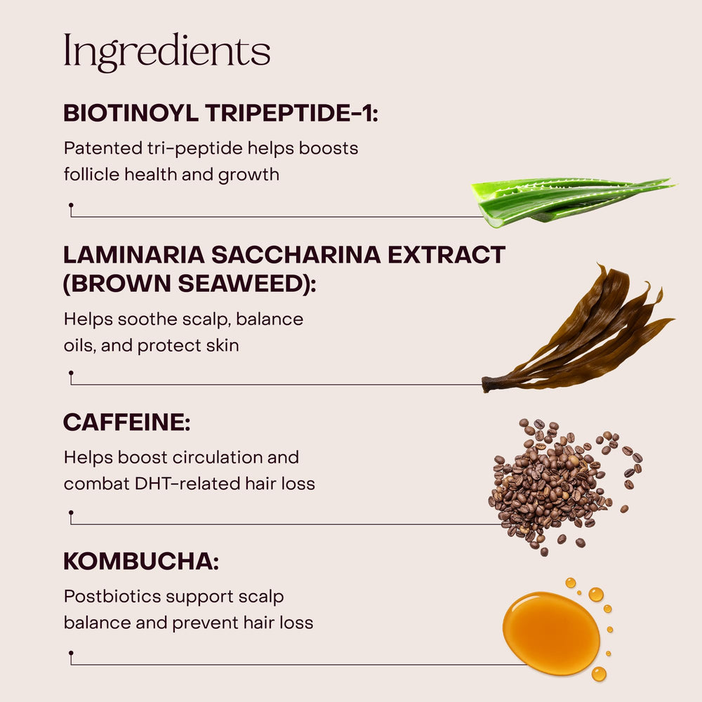 Everist EverBoost Serum Ingredient Kombucha: postbiotique pour protéger le cuir chevelu des agressions.