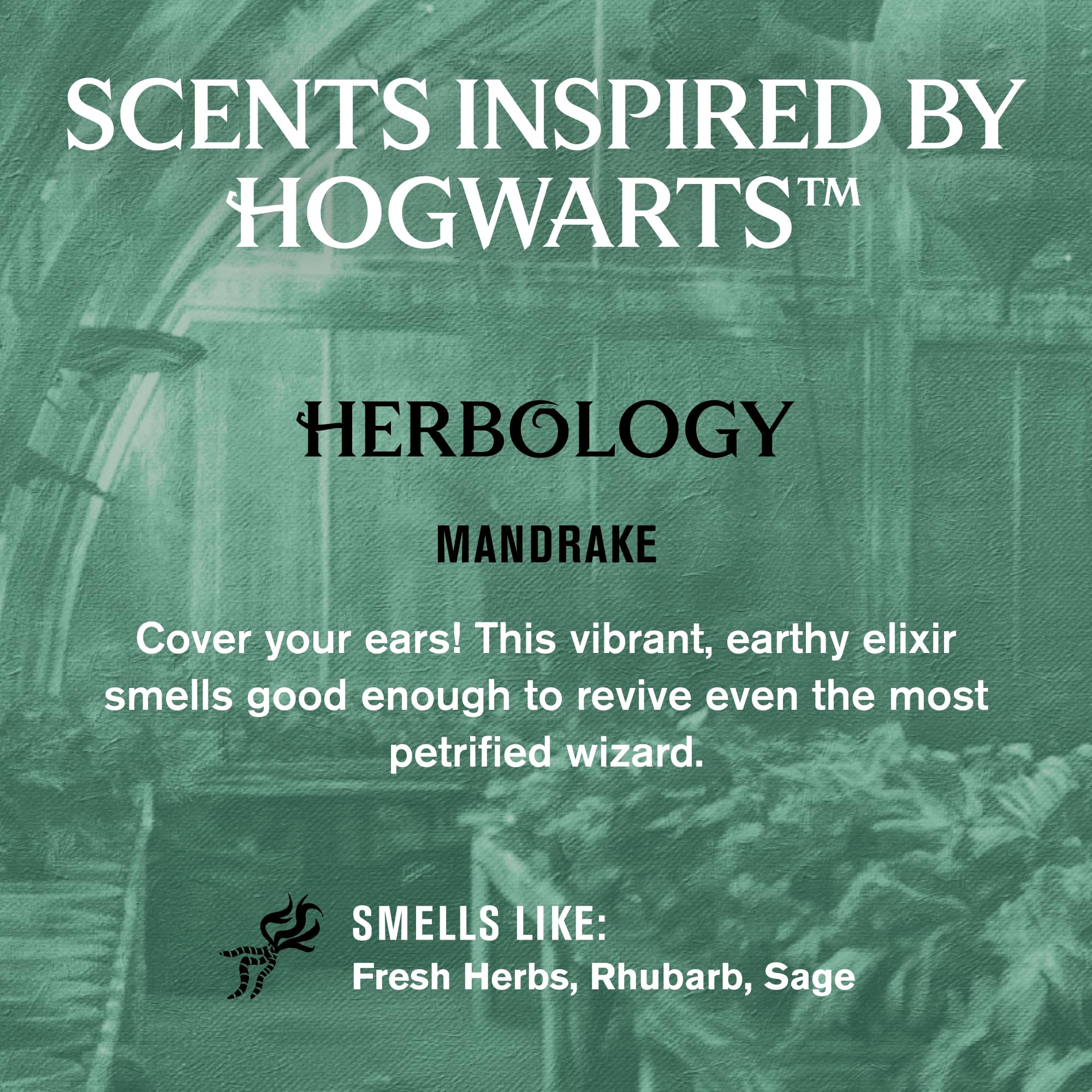 Every Man Jack Herbologie Mandragore bouteille – parfum herbacé et hydratation légère.