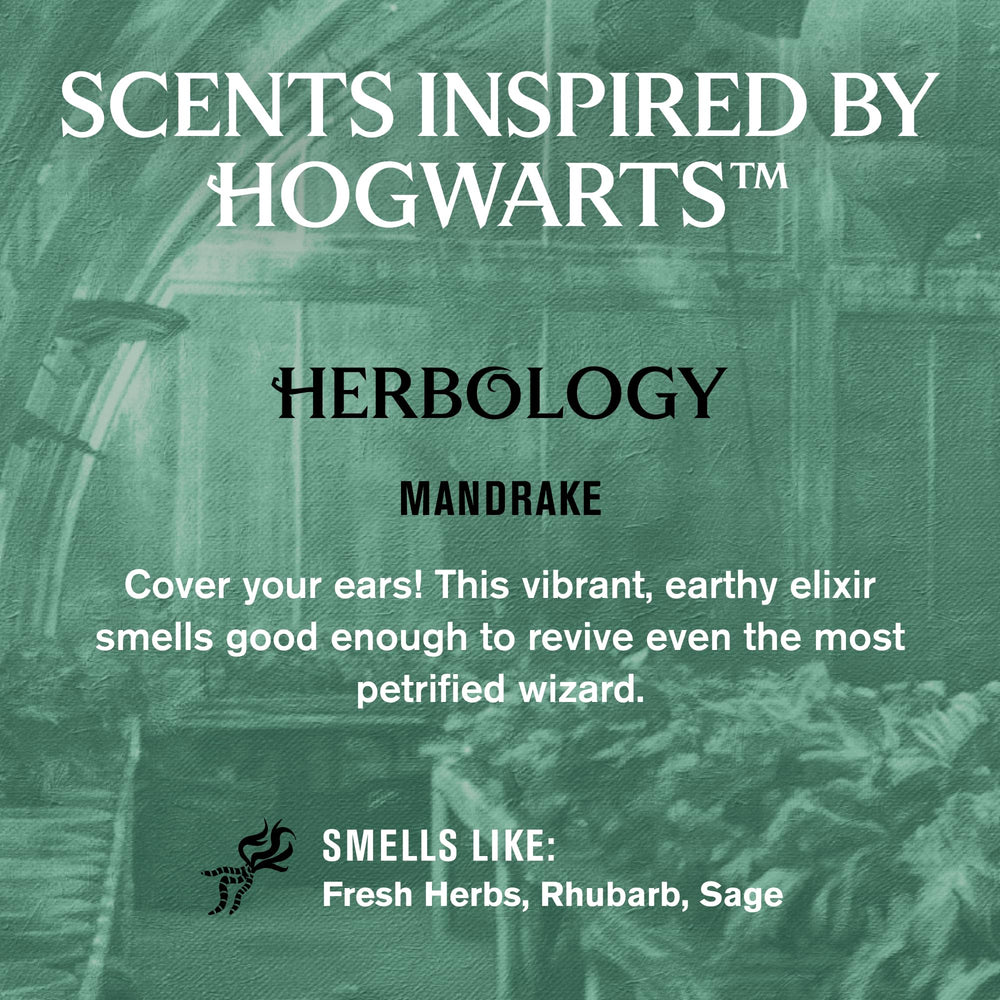 Every Man Jack Herbologie Mandragore bouteille – parfum herbacé et hydratation légère.