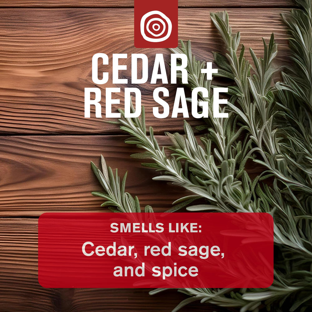 Shampoing 2-en-1 Cedar & Red Sage Every Man Jack, nettoie et hydrate