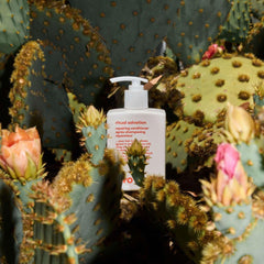 Appliquer EVO Ritual Salvation sur cheveux humides pour démêler en douceur