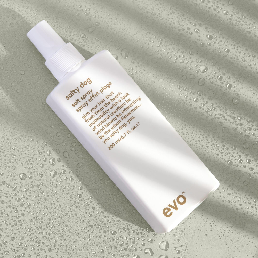 EVO Salty Dog: application sur cheveux humides pour look naturel