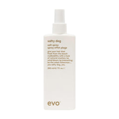 EVO Salty Dog: spray salé et bouteille visible prête pour texture plage
