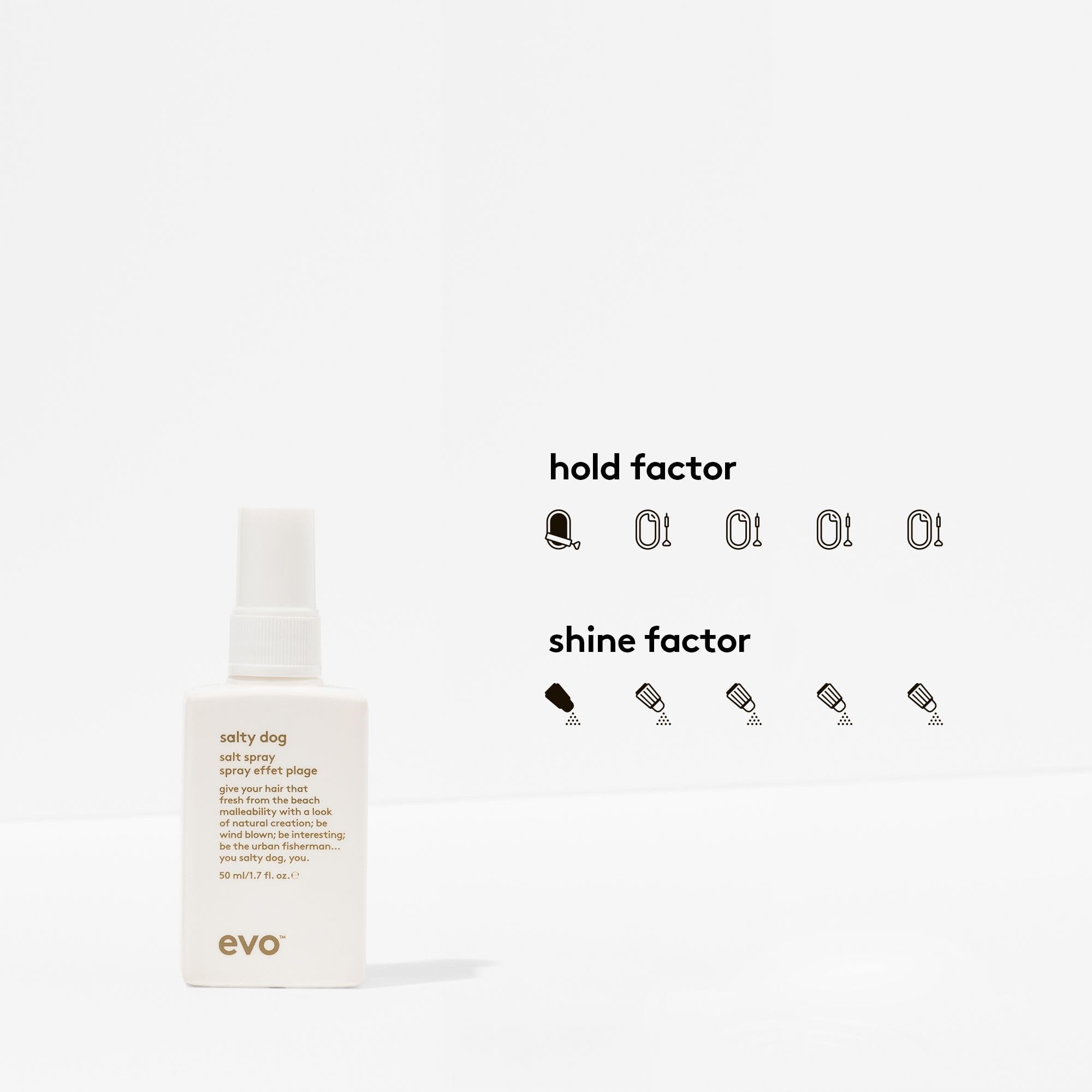 EVO Salty Dog Spray – texture plage sur cheveux mouillés, volume possible