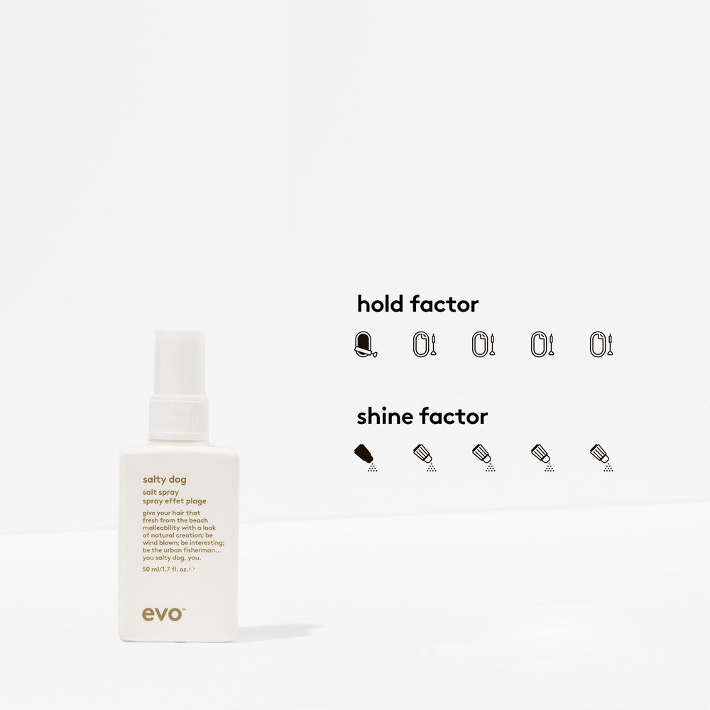 EVO Salty Dog Spray – texture plage sur cheveux mouillés, volume possible