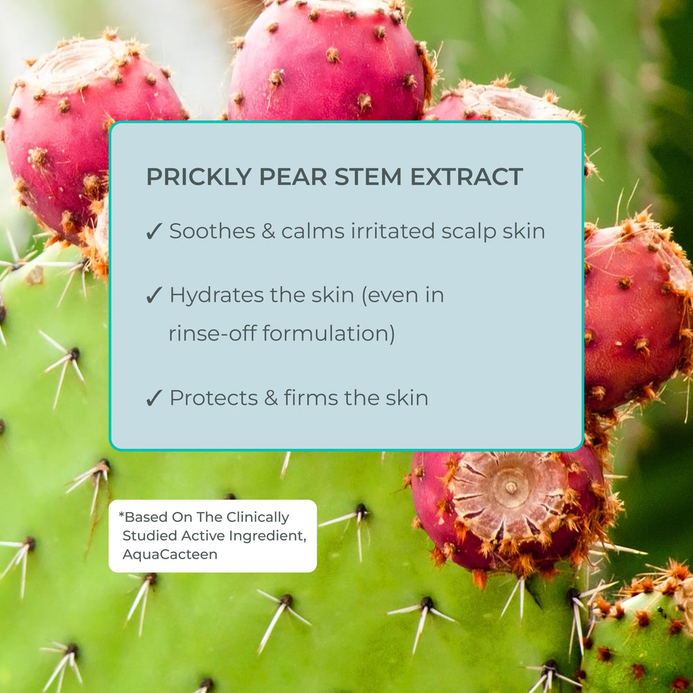 EVOLVh Better Roots Shampoing, emballage élégant, routine capillaire soignée.