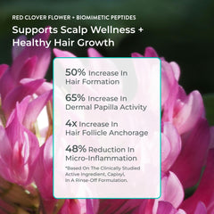 EVOLVh Better Roots Shampoing, mousse crèmeuse, nettoyage en douceur du cuir chevelu.