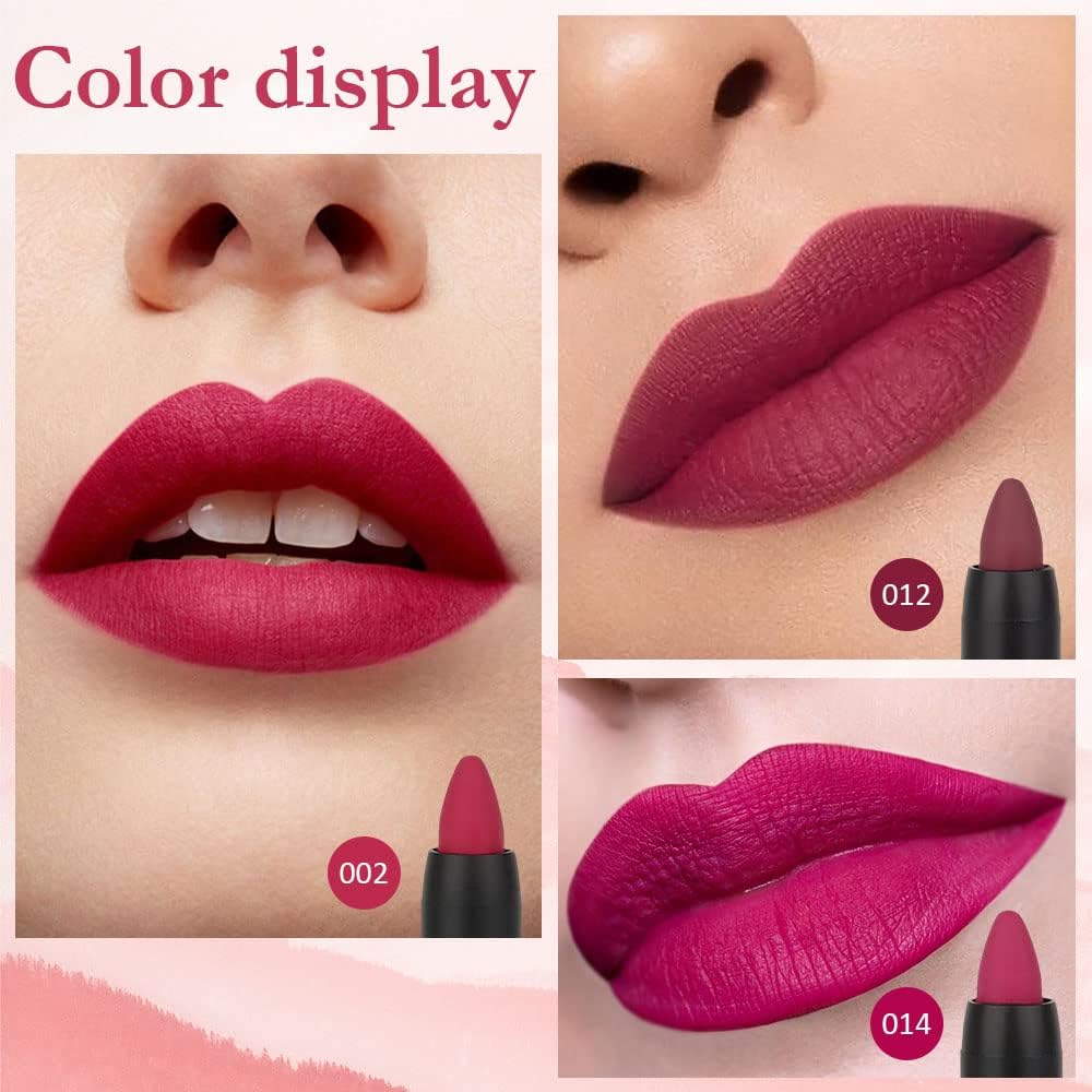 Échantillons evpct de teintes matte prune vin pour swatches rapides et précis.