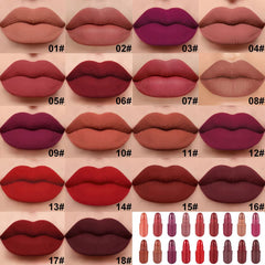etui compact evpct avec 18 couleurs de rouge a levres mini.