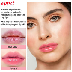 EVPCT rouge a levres changeant cerise couleur vive et soin hydratant