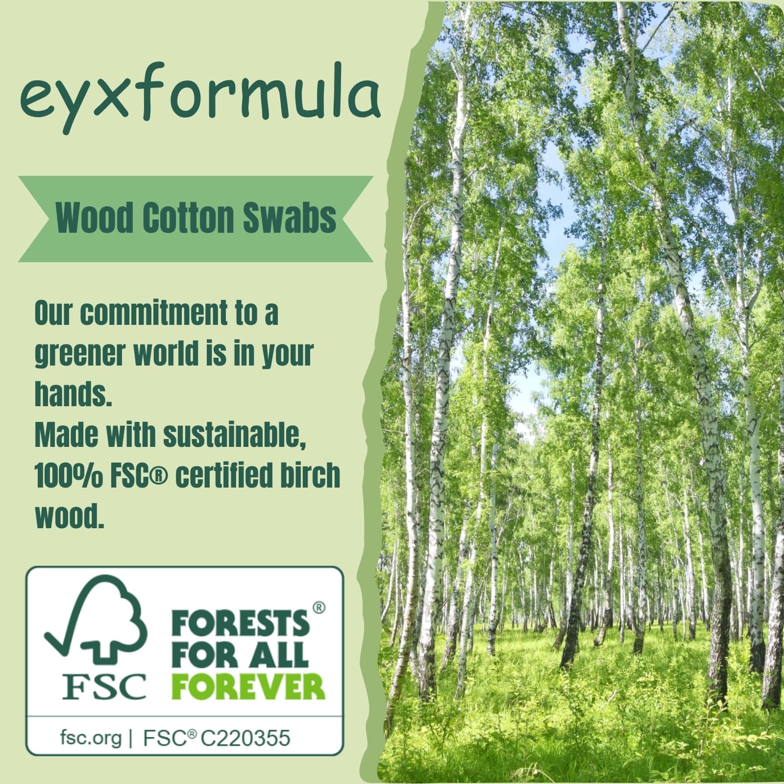 Eyxformula baton en bois robuste, utilisation fiable et durable