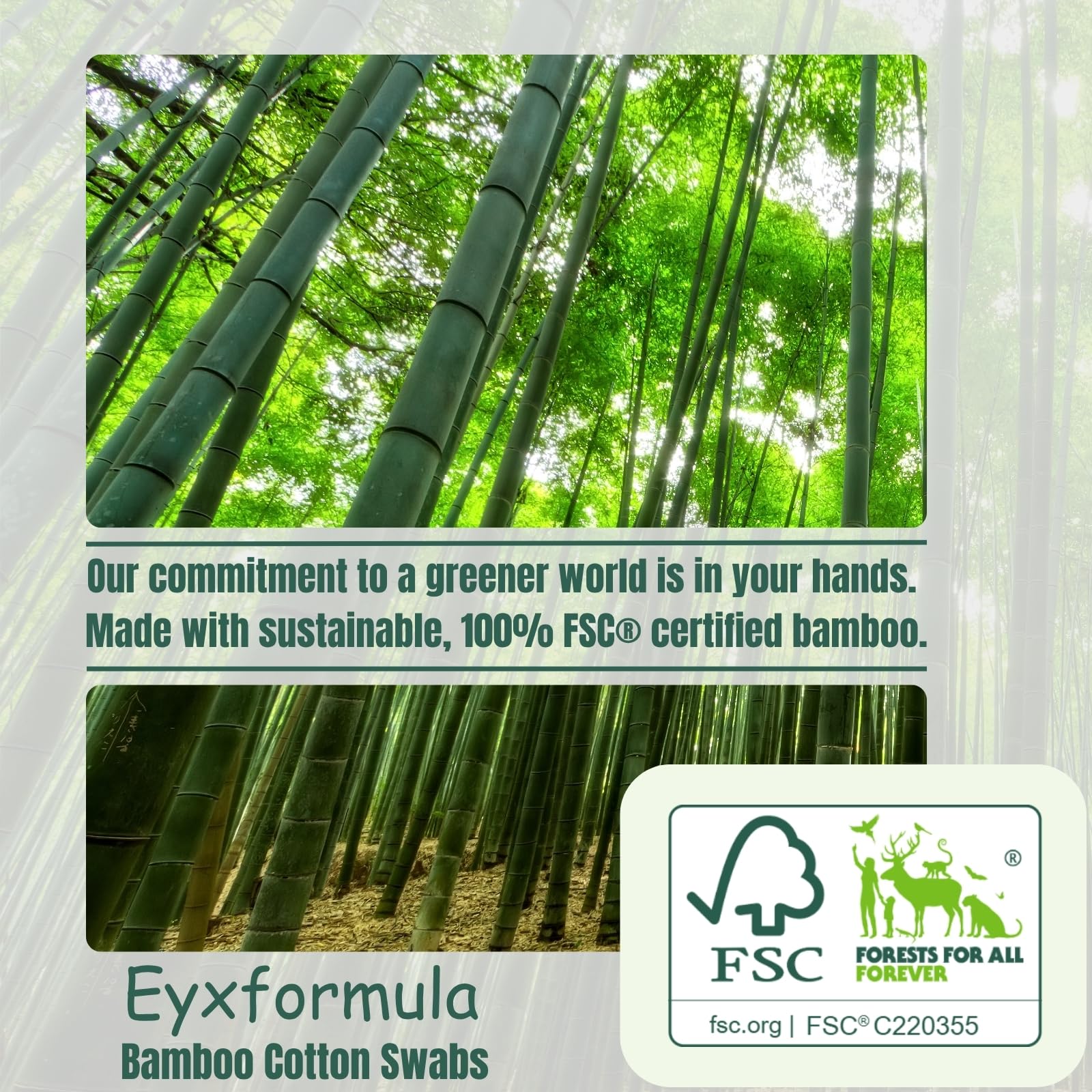eyxformula tiges coton sans fibres: utilisation propre sans résidu.