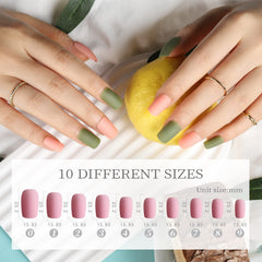 Fandamei palette 24 couleurs solides pour ongles naturels et brillants.