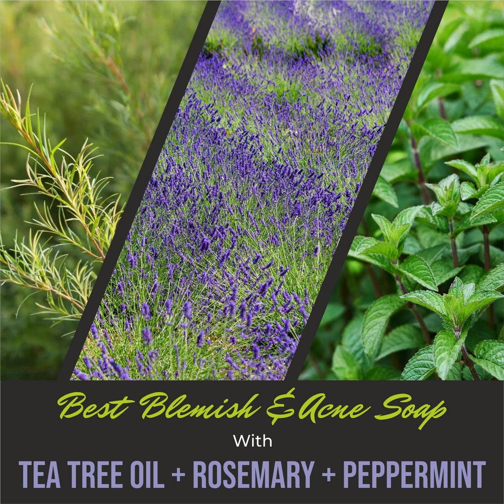 First Botany – etiquette ingrédients naturels, sans alcool ni parabènes ni sulfates.